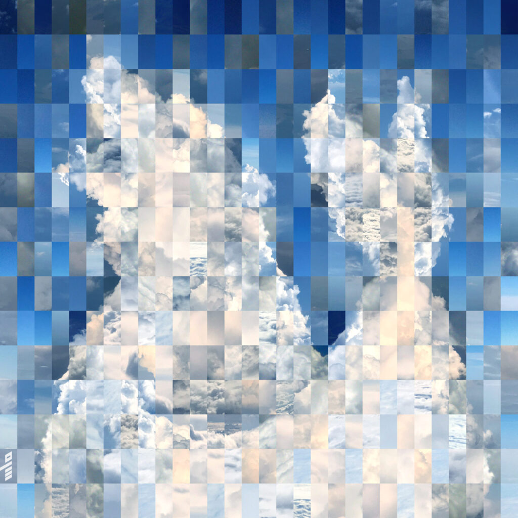 Lurking BearWhale