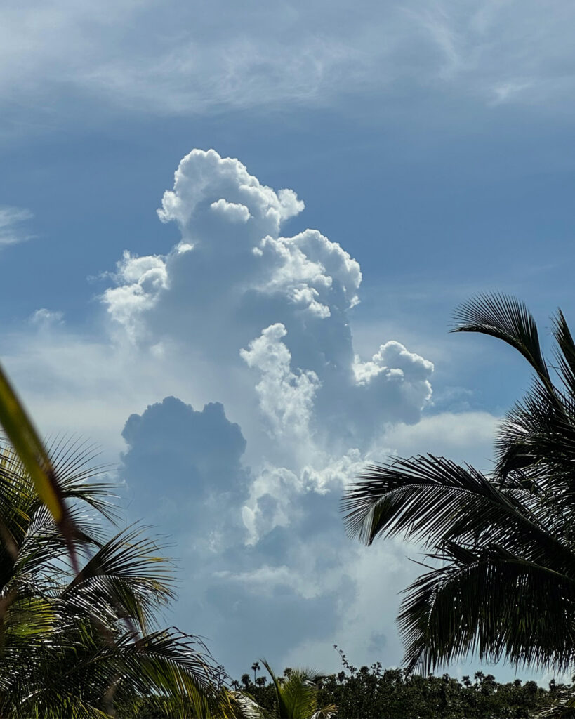 Tropical Storm Clouds by Martin Lukas Ostachowski - Tropical Storm Clouds Tropical Storm Clouds by Martin Lukas Ostachowski
