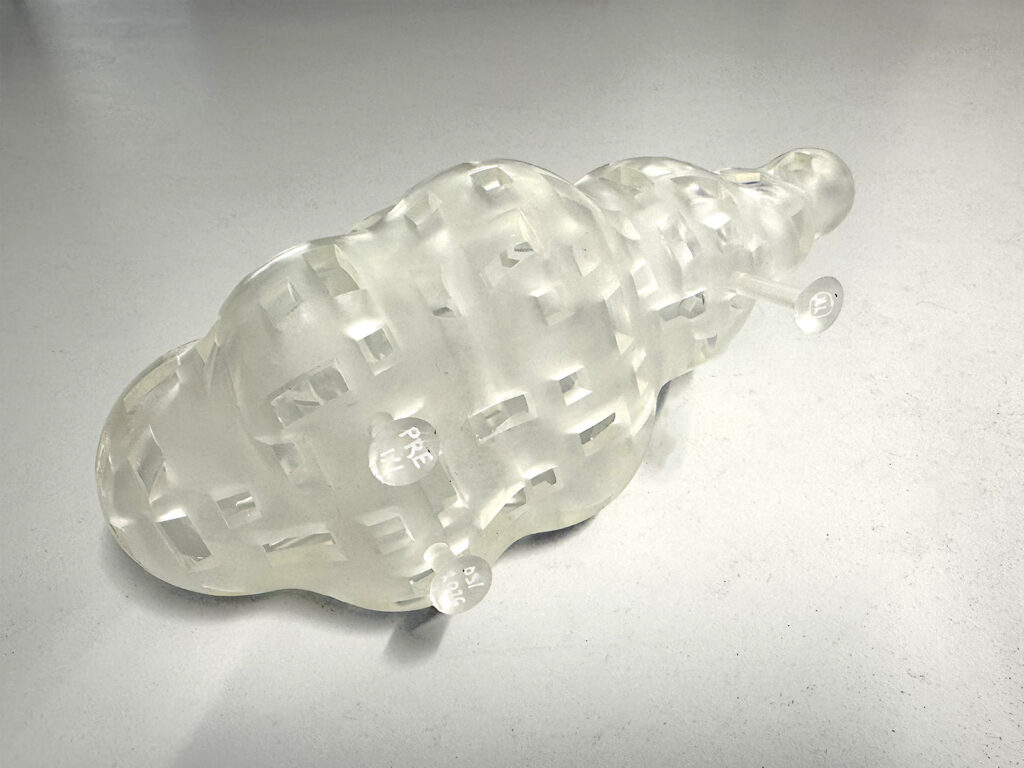 Cloud of the Present