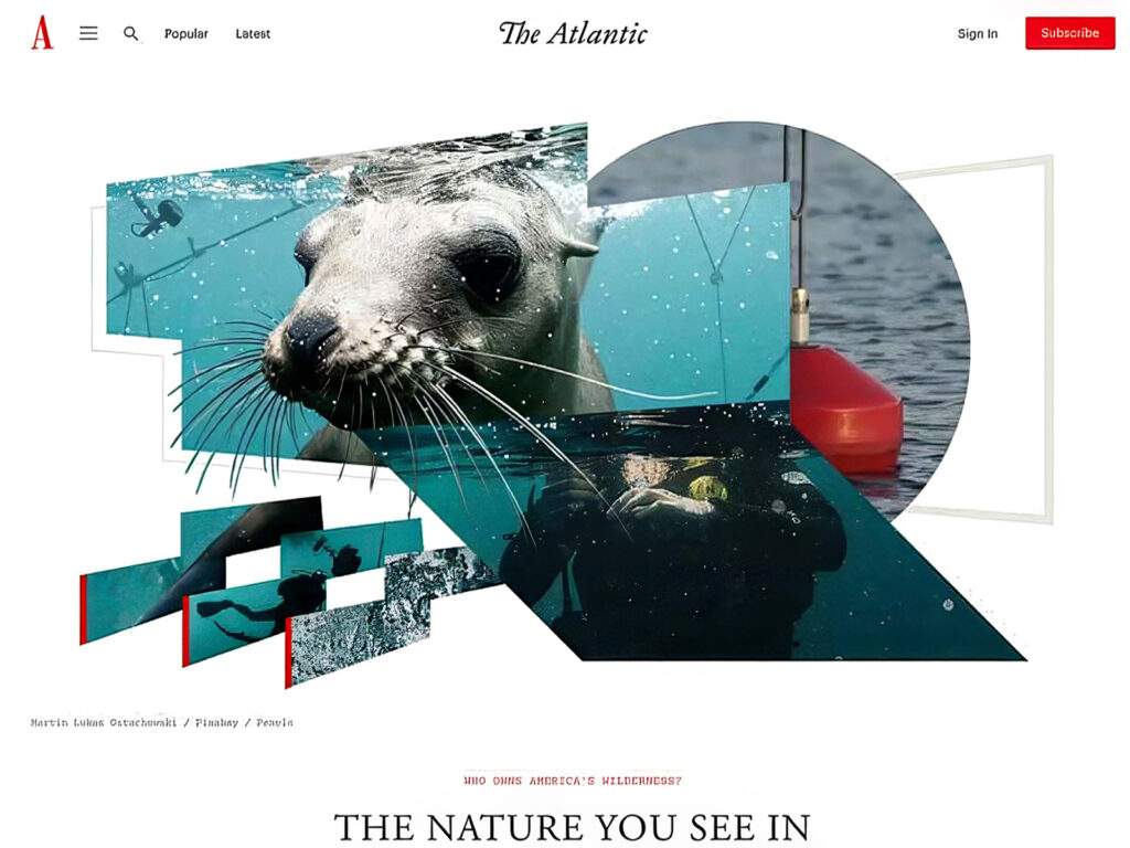 Commission - The Atlantic Magazine