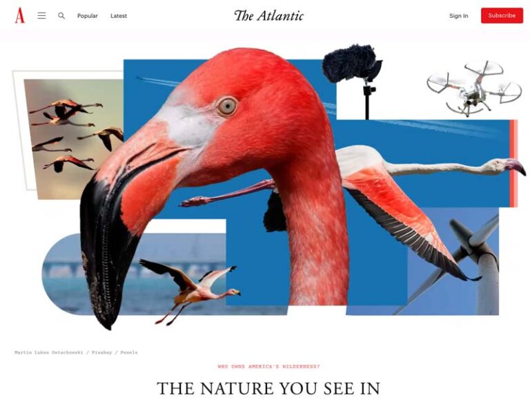 Editorial Animation Commissions for The Atlantic
