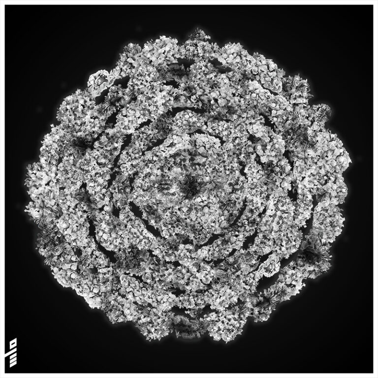 Cloud Flower Sphere